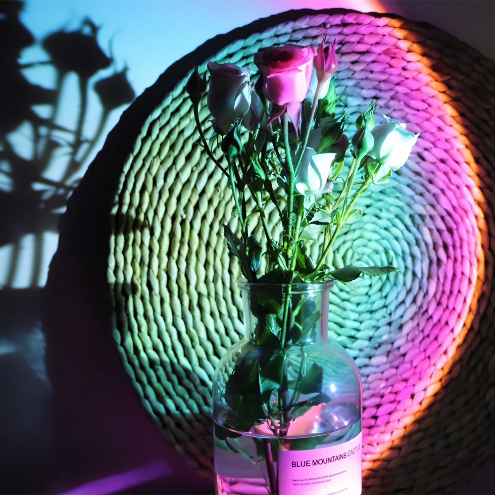 Vibe Light