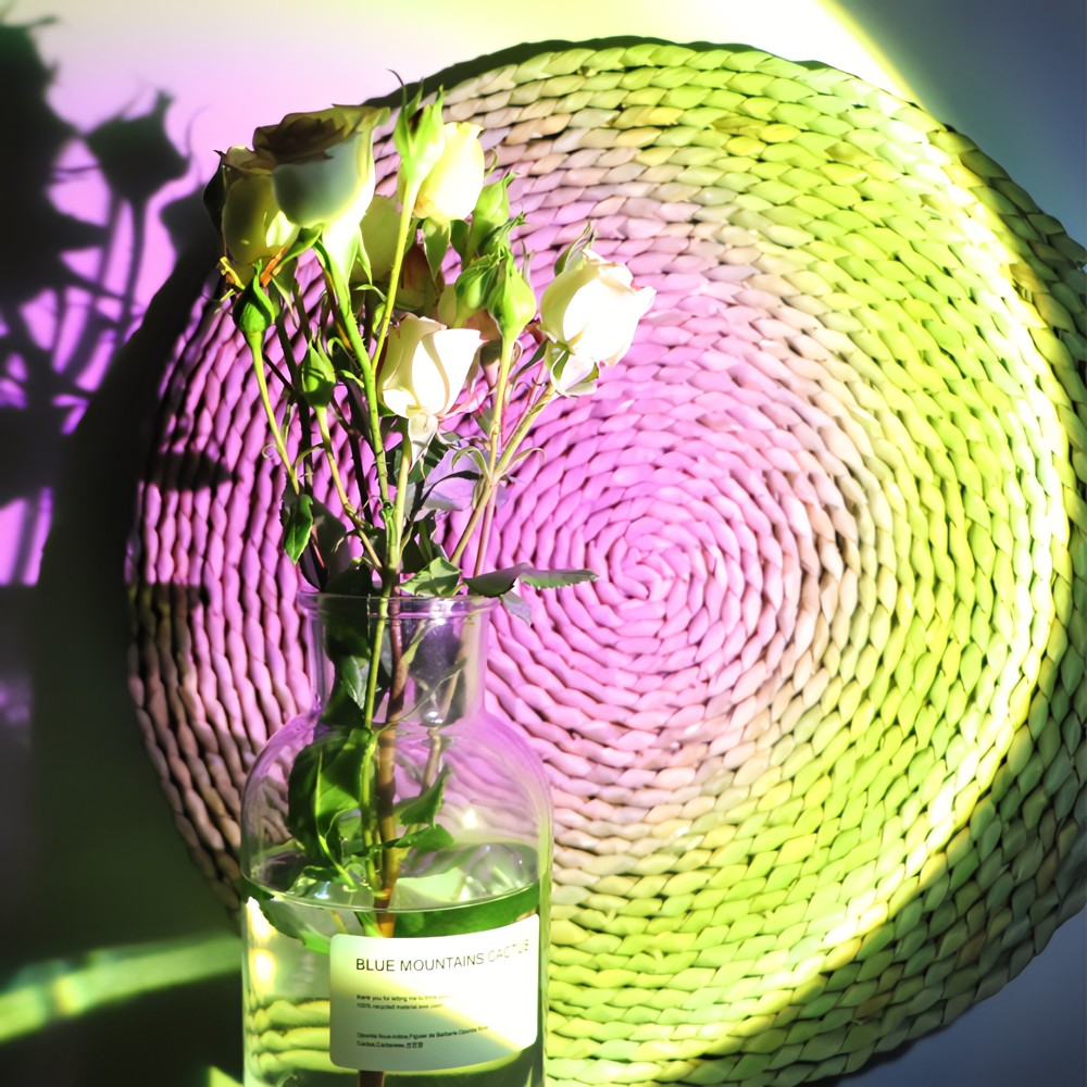 Vibe Light